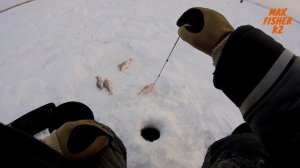 БЕЗМОТЫЛКА. Как найти окуня на незнакомом водоёме. Чкаловское водохранилище.