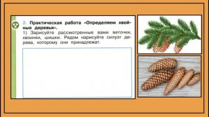 Окружающий мир 1 класс Что такое хвоинки? страница 19-21.