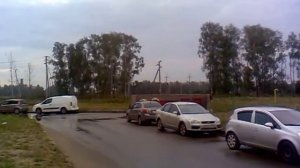 радужные лошади