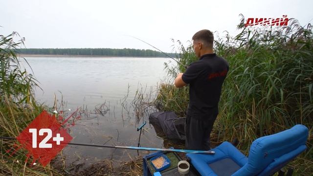 Карась на фидер. Ловля мирных рыб.