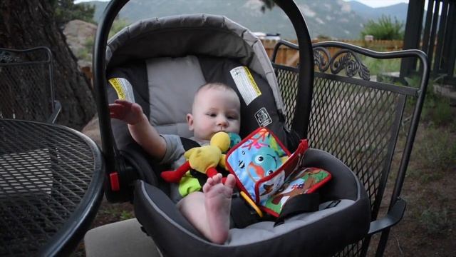 Сыну 6 месяцев. День Независимости США. Пробуем Прикорм Первый Раз. смотреть онлайн