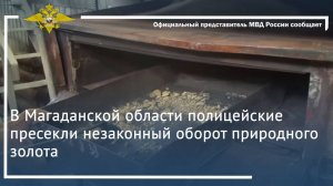 Ирина Волк: В Магаданской области полицейские пресекли незаконный оборот природного золота