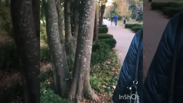 Ботанический сад имени Косенко,в Краснодаре/Прогулка по саду/22.10.2020.