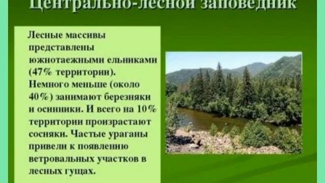 11 января в России отмечается День заповедников и национальных парков