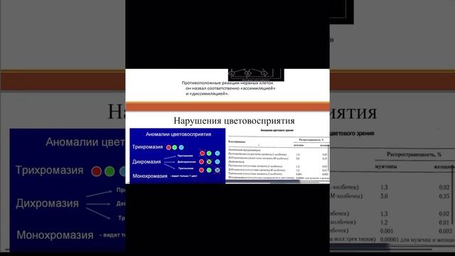 Теории восприятия цвета.Нарушения цветовосприятия.