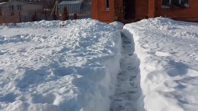 #дачнаяжизнь #загородная жизнь Снежная зима и резкое потепление  в Московской области.