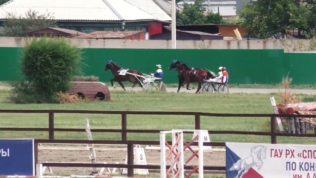 9.07.2022г Абакан Групповой заезд Для лошадей 2-х лет Орловской Рысистой породы 1600м смотреть онлайн
