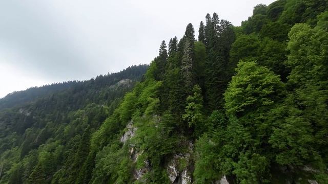 Красная Поляна. Роза Хутор. Парк водопадов Менделиха.