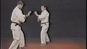 Вадо-рю Куниаки Сакагами