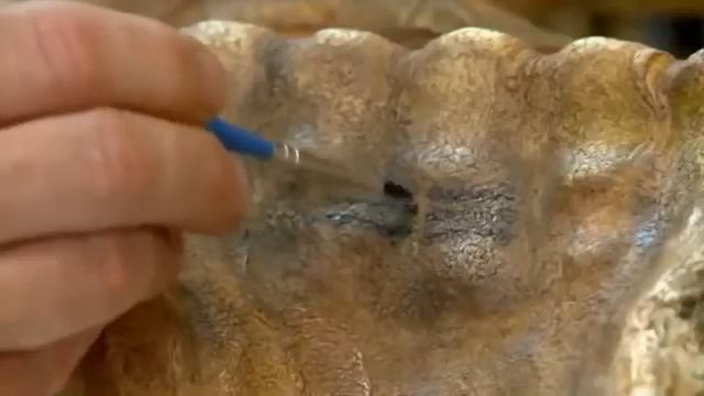 Эта Находка Стала Сенсацией в Мире - Мумия Эци смотреть онлайн