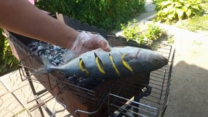 ОЧЕНЬ ВКУСНАЯ РЫБА НА МАНГАЛЕ #дорадо