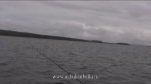 Рыбалка в Карелии. Азбука троллинга  планер и прищепки.