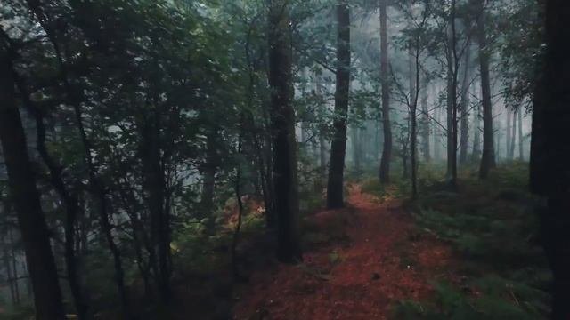 ЛИРИЧЕСКАЯ