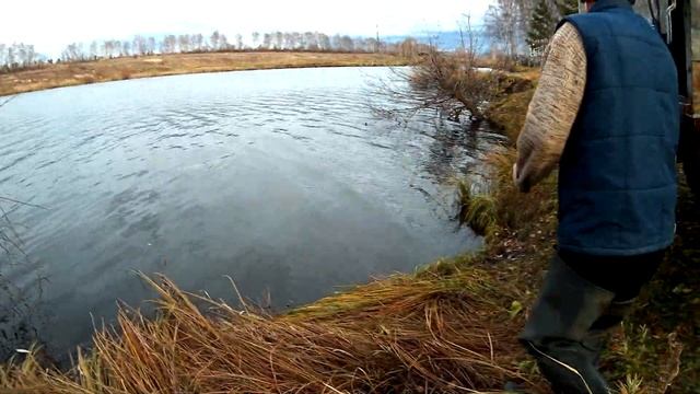Зарыбление водоёма Сырты