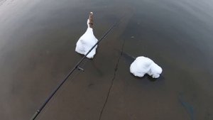 ГДЕ ИСКАТЬ НОЧНОГО СУДАКА ЗИМОЙ НА МОСКВА РЕКЕ | ОСНОВНЫЕ МЕСТА ЛОВЛИ НА ВОБЛЕРЫ