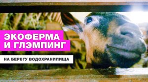 ДОЛИНА ВАЗУЗЫ |  БИЗНЕС-ИДЕЯ ЭКОФЕРМЫ |  ГЛЭМПИНГ |  ОТ СОХИ ДО СОХИ | 0+