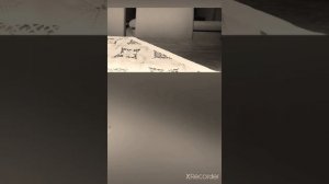 Ок лайф. Юлиана о сыне Таисии Ива Дия