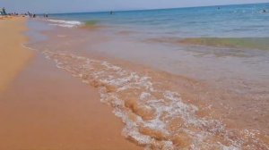 Дельфины на пляже Благовещенской(Анапа). 34 августа. Солнце, ветер,чистейшее море,шикарное лето!