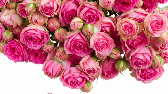 Kenan Doğulu - Tencere kapak 