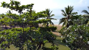 Шри-Ланка, Берувала, отель The Palms 4*