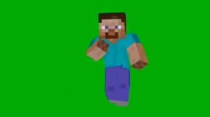 Стив флексит