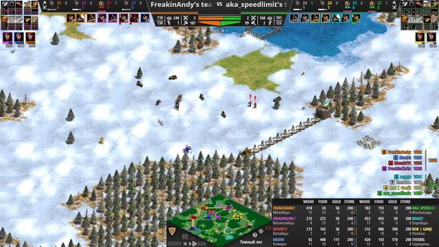 Беспредел от чемпиона мира! Сломал 4 базы за 20 минут! Age of Empires II DE смотреть онлайн