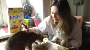 КОТИК ПОДСЫПАЛ МАМЕ СЛАБИТЕЛЬНОЕ | ОЧЕНЬ ЖЕСТКИЙ ПРАНК