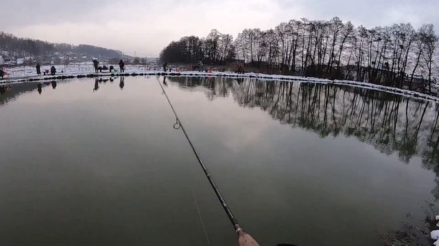 МИСАЙЛОВО TROUT, форель под занавес ноября