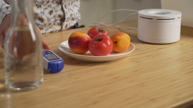 Ионизатор продуктов «Vione Disk»