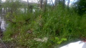 Спасск-Дальний . Рыбалка.