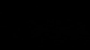 КОГО ВЫБРАЛИ ,У ТЕХ И ПРОСИТЕ ПОМОЩИ . ИНГА ХОСРОЕВА . ВЕДЬМИНА ИЗБА ?