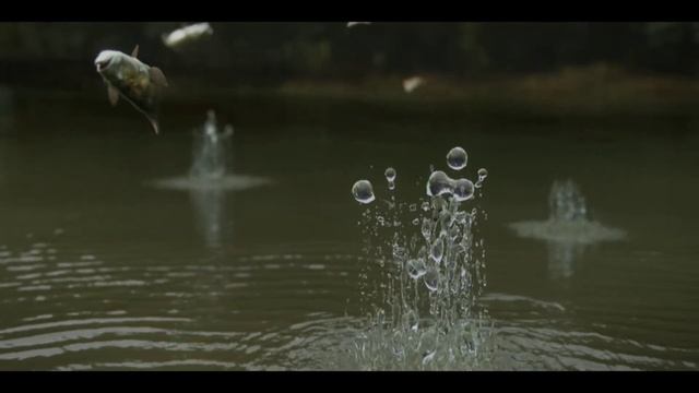 Вытащил всех рыб из пруда, с помощью гравитации смотреть онлайн