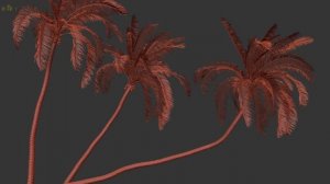 Cocos Nucifera with wind animation