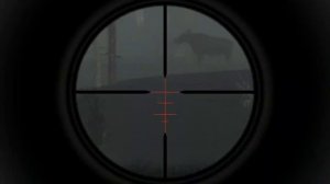 Обзор трехстволки The hunter classic