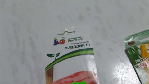 Посев перцев в пеленки.