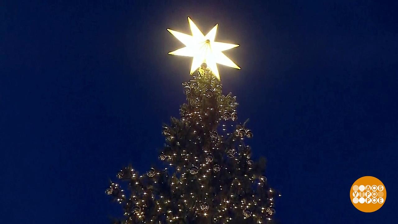 В мире. Рождественская ель. Доброе утро. Фрагмент выпуска от 17.12.2019