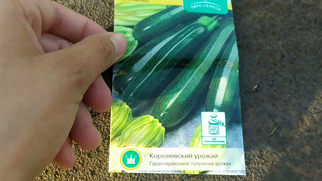 VLOG/МОИ 4 СОТКИ/ПОСАДКИ ПРОДОЛЖАЮТСЯ/УБОРКА ТРАВЫ/ЕЖЕДНЕВНЫЕ ВЛОГИ/ДАЧНЫЙ ВЛОГ/САЖАЕМ ЛУК