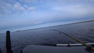 РЕКА СВИРЬ, ОКУНЬ НА ДЖИГ, ТРОФЕЙ ВЗЯТ, ТРУДОВАЯ РЫБАЛКА