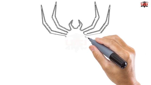 How to Draw a Spider Easy Step By Step Drawing Tutorials for Beginners – UCIDraw смотреть онлайн