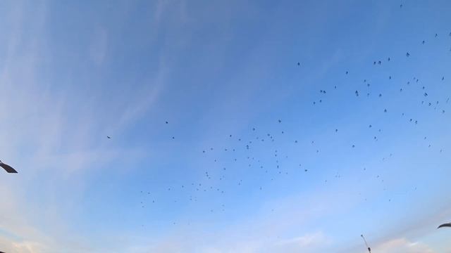 ВЛОГ Детская пижама На что я креплю камеру Теплый ОКТЯБРЬ Уральск смотреть онлайн