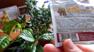 #Витамины для комнатных растений/цветов. Делюсь секретами. Удобрения, подкормка