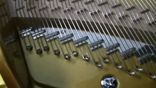 6'2 Seiler "Maestro" Grand Piano