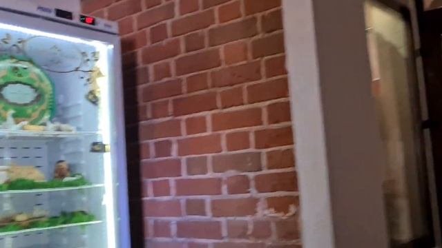 Гуляем с экскурсоводом по Казани. Достопримечательности Казани. Насыщенный день.