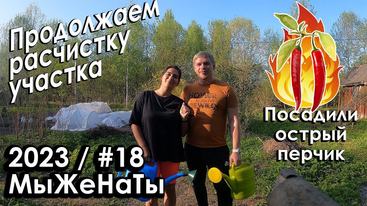 #18/2023/ Продолжаем расчистку участка / Острый перчик / МыЖеНаТы