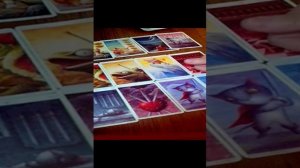 Все таки в этом году СпецОперация на территории Украины закончится?!!