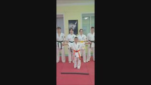 Начало сезона Будокай