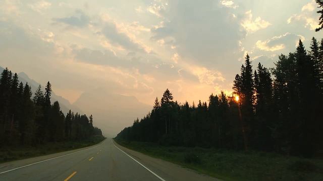 38. Что то кровь давно не бродит М. Кочетков смотреть онлайн