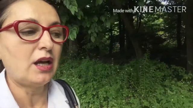 Самостоятельные путешествия. С чего начать подготовку.