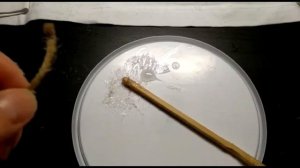 Что можно сделать из обычного пластикового ведерка от майонеза?...
