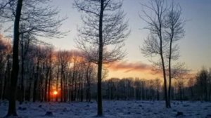 Свиридов Маленький триптих 3 часть